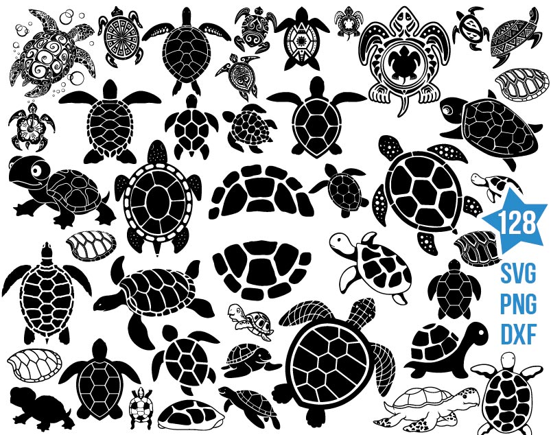 Turtle svg, sea turtle svg, tortoise svg, aquatic svg | BOXMEDIART Svg ...